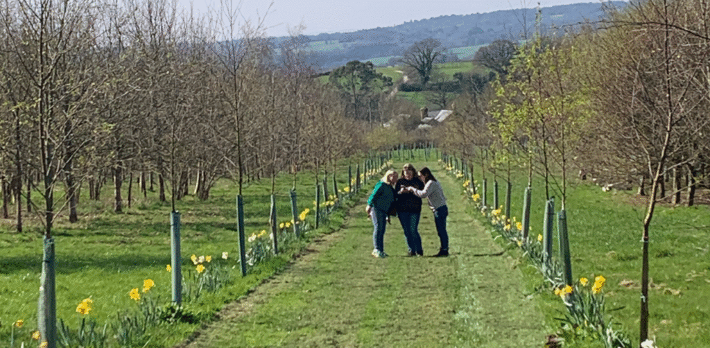 business retreat at Higher Holcombe Devon hosted by Yellow Tuxedo. business retreat benefits